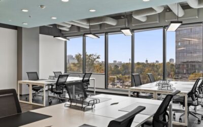 How Office Perks Influence Employee Motivation