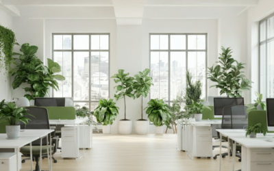 How Plant-Friendly Offices Improve Work Atmosphere