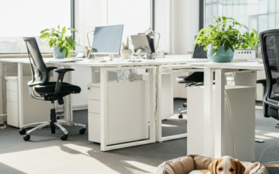 Discover the Benefits of Pet-Friendly Serviced Offices